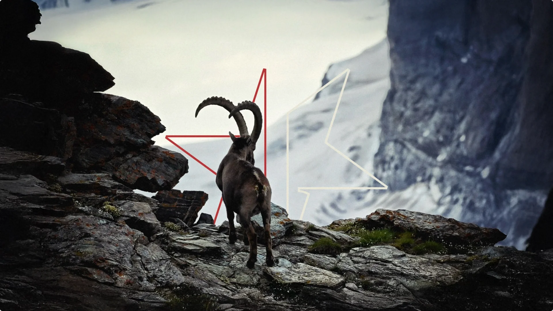 The Crans-Étoile star mark drawn over an ibex on an alpine ridge